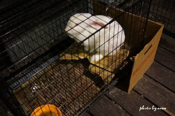 6028 7.JPG 6028 7.JPG