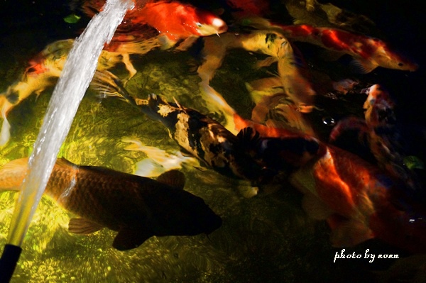 6028 10.JPG 6028 10.JPG