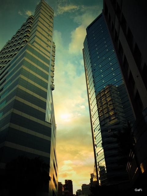 R0017242 R0017242