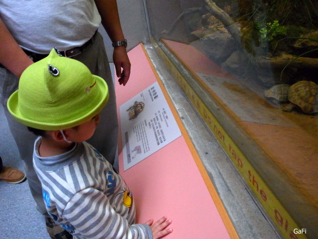 R0055529 R0055529