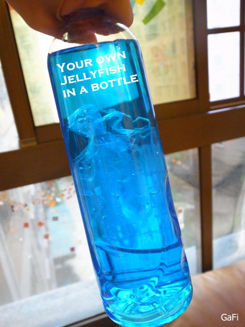 R0082993-001.JPG R0082993-001.JPG