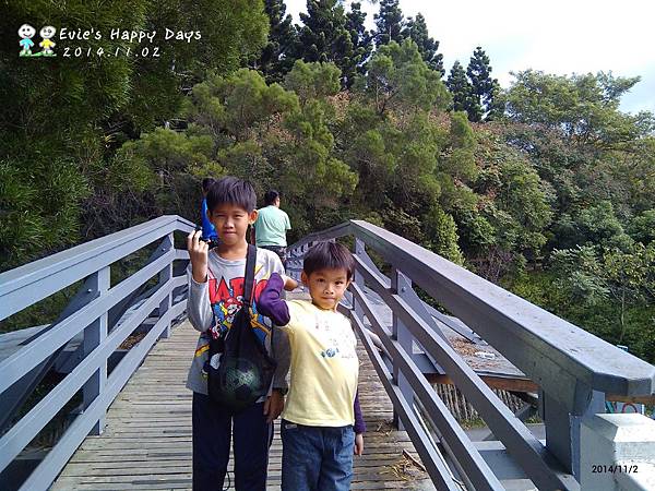 MA201411021349280000-01-000000000.jpg MA201411021349280000-01-000000000.jpg