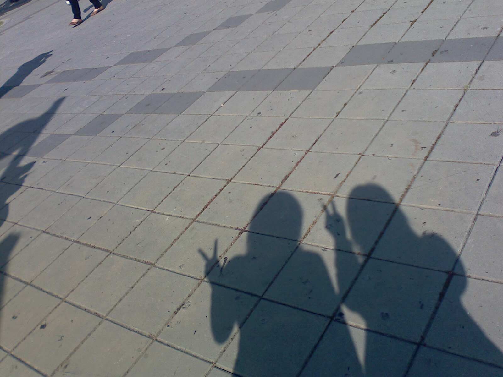 IMG0781A.jpg IMG0781A.jpg