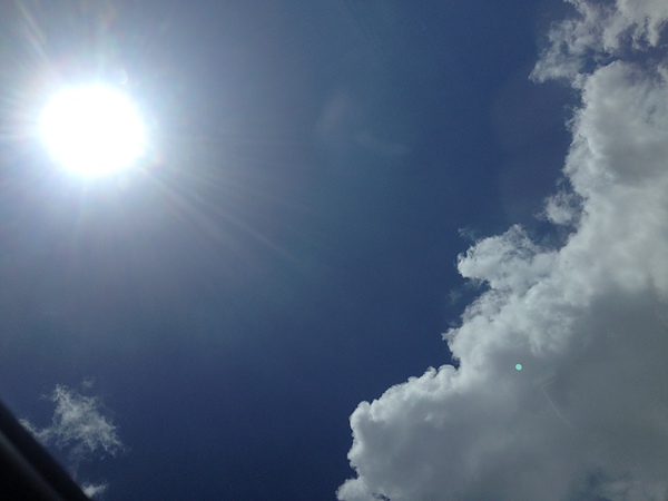 IMG_1556.JPG IMG_1556.JPG