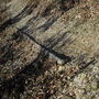 SDC10867.JPG SDC10867.JPG