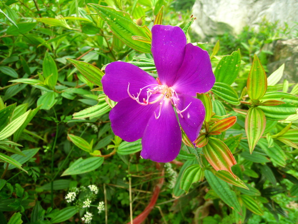 宜蘭望龍俾 018.jpg 宜蘭望龍俾 018.jpg