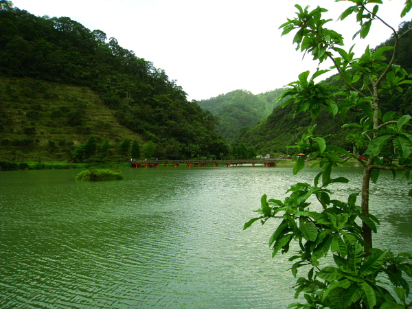 宜蘭望龍俾 019.jpg 宜蘭望龍俾 019.jpg