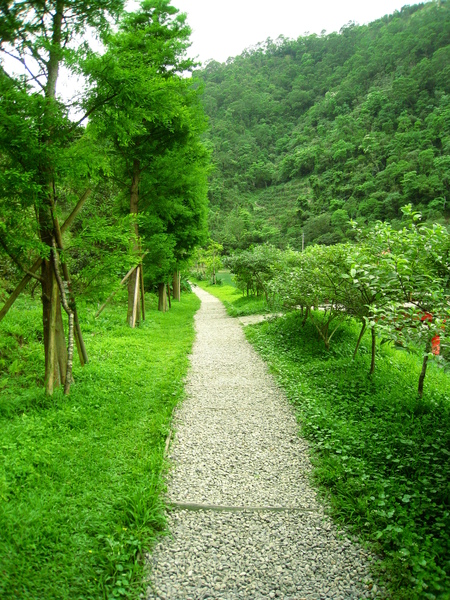 宜蘭望龍俾 078.jpg 宜蘭望龍俾 078.jpg