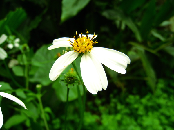 宜蘭望龍俾 089.jpg 宜蘭望龍俾 089.jpg