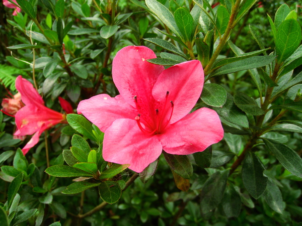 宜蘭望龍俾 092.jpg 宜蘭望龍俾 092.jpg