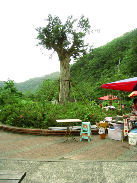 宜蘭望龍俾 098.jpg 宜蘭望龍俾 098.jpg