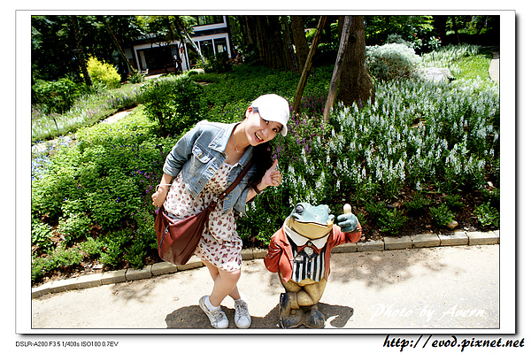 DSC03090.jpg DSC03090.jpg