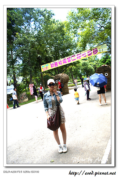 DSC03070.jpg DSC03070.jpg