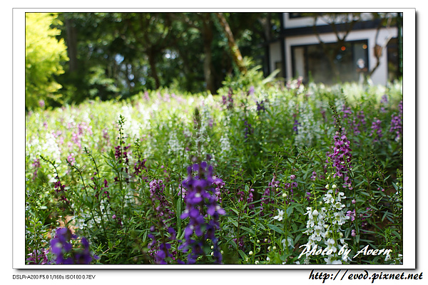 DSC03086.jpg DSC03086.jpg