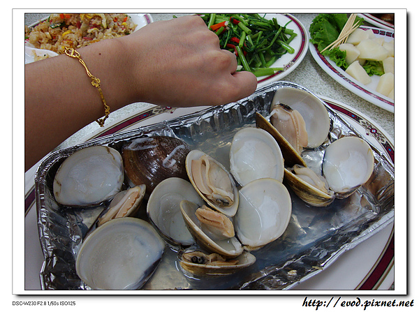 DSC04104.jpg DSC04104.jpg