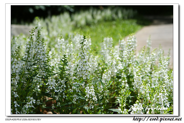 DSC03091.jpg DSC03091.jpg