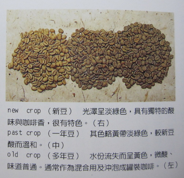 咖啡新舊