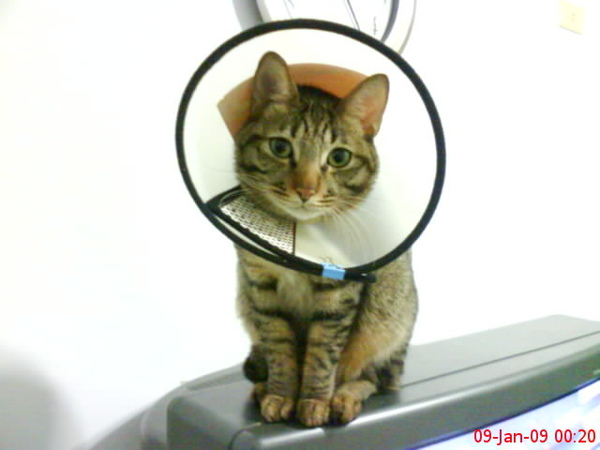 DSC00222.JPG DSC00222.JPG