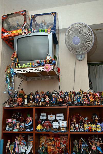 俬儲空間，公仔，海賊王，one piece，偉大航路，宅男，秘密基地，微型倉庫