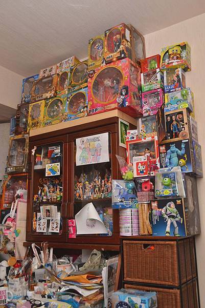 俬儲空間，公仔，海賊王，one piece，偉大航路，宅男，秘密基地，微型倉庫