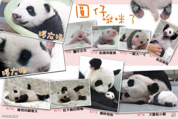 俬儲空間迷你倉