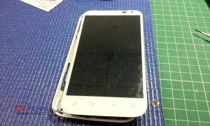 1-XL01_nEO_IMG-300x180.jpg