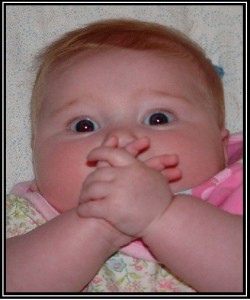 1-omg1-250x300.jpg 1-omg1-250x300.jpg