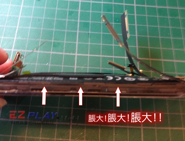 小心~您的手機住著一隻河豚!!!6 小心~您的手機住著一隻河豚!!!6
