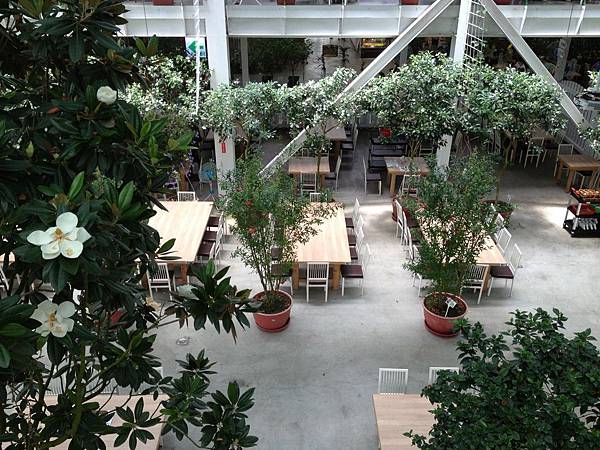 103.05宜蘭-香草菲菲 103.05宜蘭-香草菲菲
