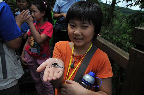 1000714-1000715蟲蟲秘境探索營 (5).jpg