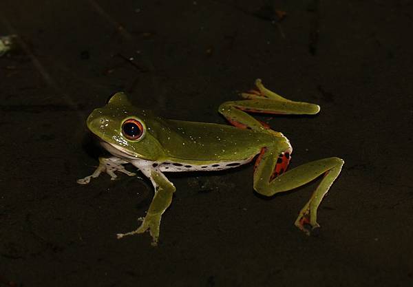 IMG_1769 IMG_1769