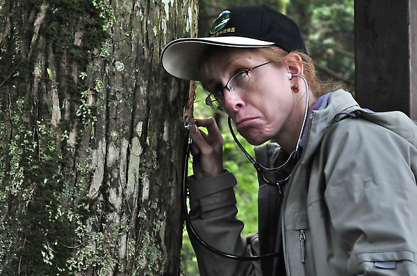 咦！這是什麼聲音?