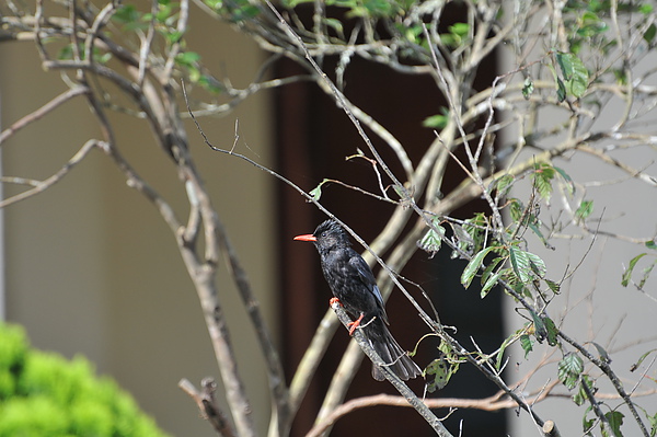 IAN_8378.JPG IAN_8378.JPG