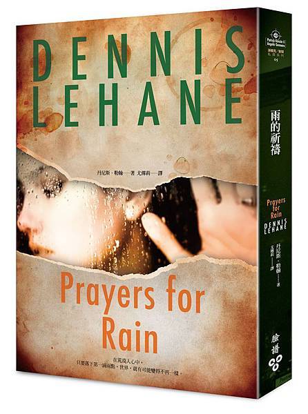 雨的祈禱_立體封 雨的祈禱_立體封