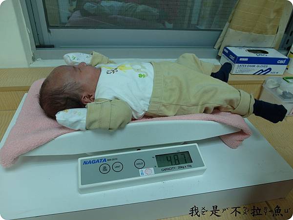 BLOG (8).JPG BLOG (8).JPG