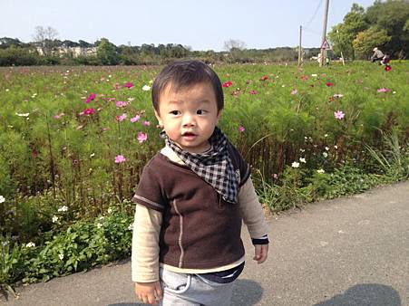 IMG_0242_調整大小.JPG IMG_0242_調整大小.JPG