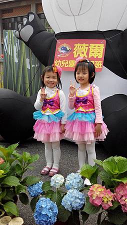 IMG_0315.JPG IMG_0315.JPG