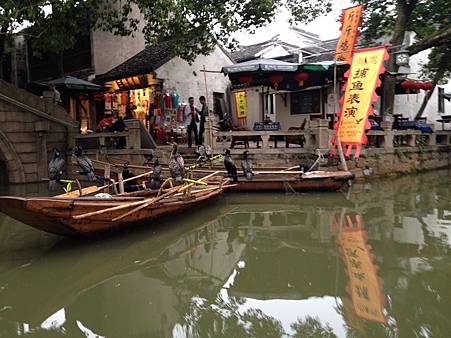 IMG_0462_調整大小.JPG IMG_0462_調整大小.JPG