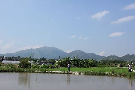 IMG_8616a.jpg IMG_8616a.jpg