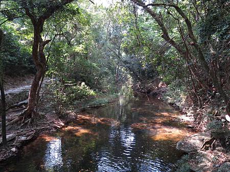 IMG_0077.JPG IMG_0077.JPG