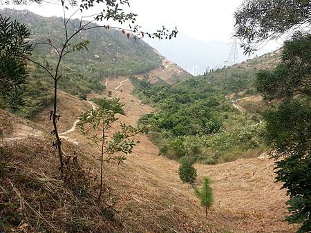 20131103_101245.jpg 20131103_101245.jpg