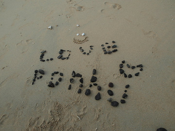 SAM_1692.JPG SAM_1692.JPG