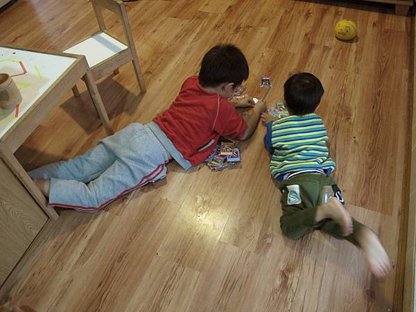 IMG_4393 IMG_4393