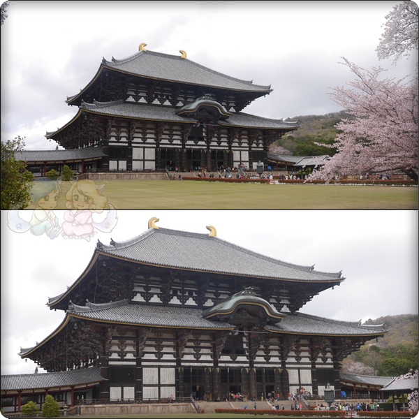 東大寺．大仏殿(金堂)