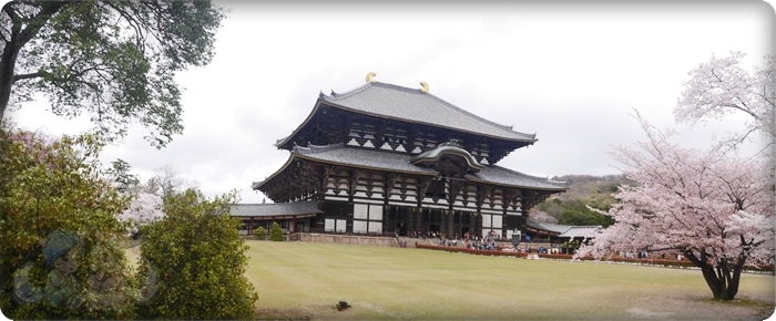 東大寺．大仏殿(金堂)