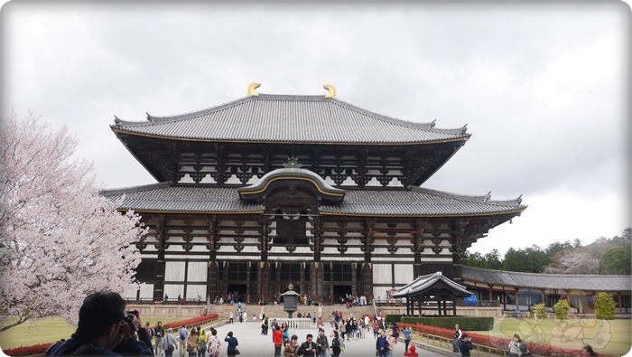 東大寺．大仏殿(金堂)