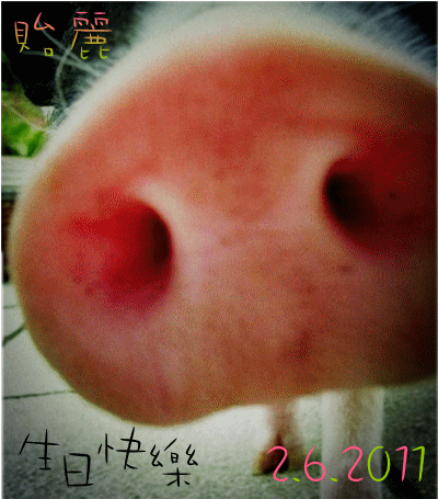 6de39d21jw1dhrcixjuwtj_副本.gif 6de39d21jw1dhrcixjuwtj_副本.gif