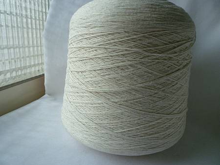 P1070800 P1070800