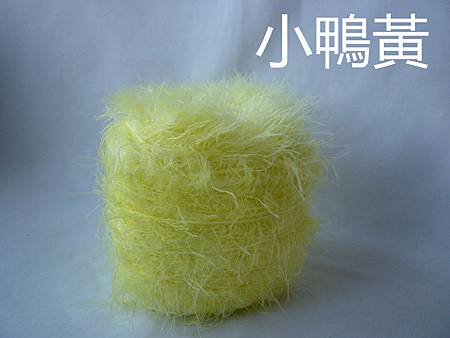 小鴨黃.JPG 小鴨黃.JPG