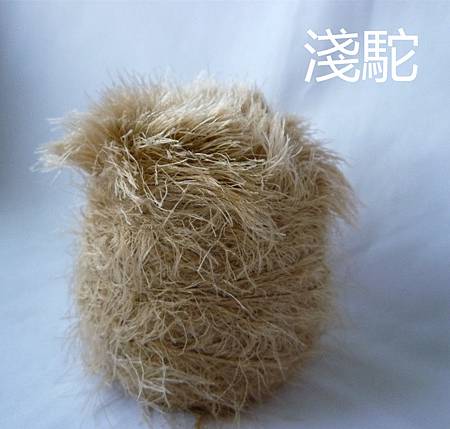 淺駝.JPG 淺駝.JPG
